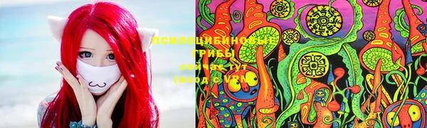 a pvp Армянск