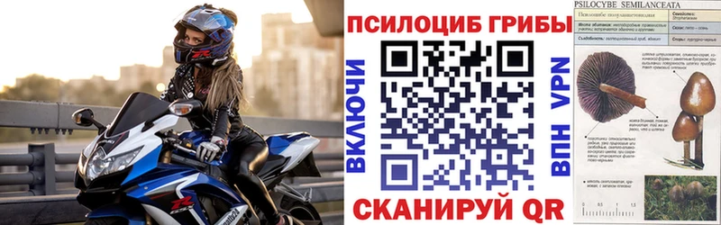 blacksprut ССЫЛКА  Бологое  Псилоцибиновые грибы GOLDEN TEACHER 