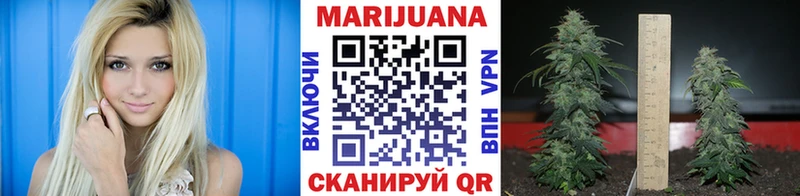 Каннабис Ganja Бологое